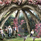 Image for article titled Behold These Incredible Works Of Architecture Made Out Of Living Trees